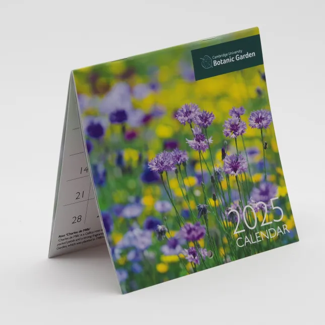 Calendar, Mini, Wire stitched